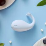 Kistoy Doris鲸鱼跳蛋