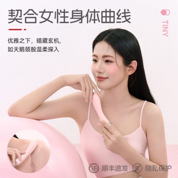 Kisstoy秒潮 天鹅颈震动棒