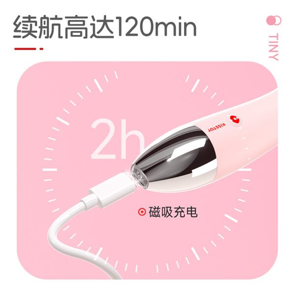 Kisstoy秒潮 天鹅颈震动棒